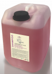 TMT HQ Color Silk shampoo, 10 l