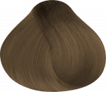 6.3 Luxury Natural Touch Dark Golden Blond