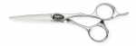Size: 5.5", Series: ZN, item: Joewell ZN550, line: ZN