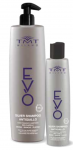 TMT Evo Silver Shampoo, 1000ml