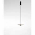 PAKABINAMAS LED &Scaron;VIESTUVAS GINGER D20 5,7W &Scaron;VIESIAI RUDAS