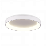 LUBINIS LED &Scaron;VIESTUVAS GRACE D58 44W BALTAS