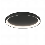LUBINIS LED &Scaron;VIESTUVAS GRACE D58 44W JUODAS DALI | PUSH