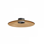 LUBINIS LED &Scaron;VIESTUVAS 25268 D50 30W RUDAS