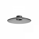 LUBINIS LED &Scaron;VIESTUVAS 25269 D50 30W DŪMINTO STIKLO SPALVOS