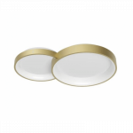 Lubinis LED &scaron;viestuvas COMBI 50W aukso spalvos