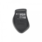 Asus Mouse | WT425 | Wireless | Mist blue