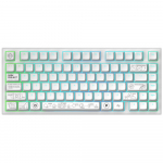 Klaviatūra Dark Project ALU81A Terra Nova (Balta) - G3MS Moonstone Switches