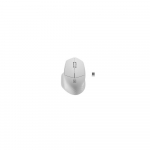 Natec | Mouse | Siskin 2 | Wireless | USB Type-A | White
