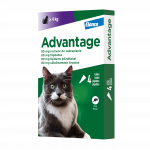 Advantage 80 vir&scaron; 4kg katėms  - N4 - 1 pipetė