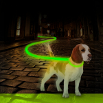 Antkaklis &scaron;unims &scaron;viečiantis, nailonas, USB - 45 cm / Žalia