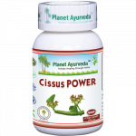 Maisto papildas Cissus Power, Planet Ayurveda, 60 kapsulių