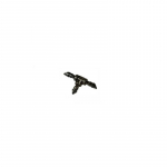 MikroJet tri&scaron;akis 4mm