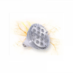 Sonlight Sonlight Hyperled PAR38 16W (Žydėjimo fazė)