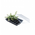 Daigykla 37 x 23,5 cm (3 vnt)