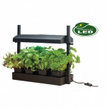 Daigykla su lempomis Micro Grow Light Garden 8W Juoda