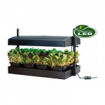 Daigykla su lempomis Grow Light Garden 16W Juoda