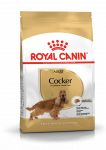 Royal Canin Cocker Adult sausas maistas &scaron;unims, 3 kg