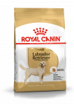Royal Canin Labrador Retriever Adult sausas maistas &scaron;unims, 12 kg
