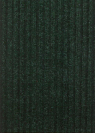 50x60 GRINDŲ DANGA ORION/ŽALIA