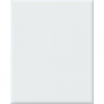 Keraminės sienų plytelės Biala Glossy White, 25x20cm