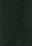50x60 GRINDŲ DANGA ORION/T.RUDA