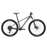 GIANT Talon 1 29" // 10G, dydis 16.5" (42 cm) (pilka - Charcoal)