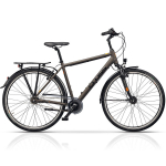 CROSS Citerra 28" N7 dydis 22" (56cm) (ruda)