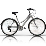 FORCE 21G 28" dydis 19" (48cm) (sidabrinė)