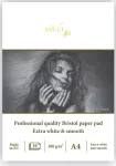 Pie&scaron;imo sąsiuvinis PRO A4 10l 308gsm