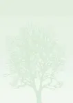 Dekoratyvinis popierius A4 100g 50l DRZEWO