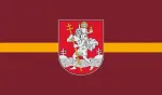 Vilniaus vėliava (1x1,70m), spausta