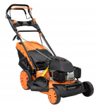 Benzininė vejapjovė  AMBER-LINE B-CLASS