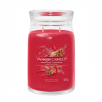 Yankee Candle kvapnioji žvakė Sparkling Cinnamon 567 g
