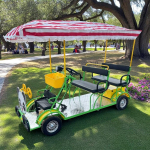 Elektrinis keturratis motoroleris su stogu ST03 1000W 48V 45Ah