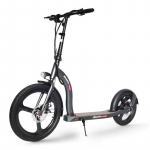 Elektrinis paspirtukas Beaster Scooter VOYAGER, 350 W, 36 V, 10 Ah, BSVOYAGERDS, tamsiai pilkas