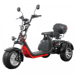 Elektrinis triratis Citycoco CP3.0 PRO 1000W 40AH Li-ion