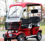 ELEKTRINIS KETURRATIS MOTOROLERIS SU STOGU MS 1000W 38AH 60V