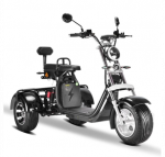 Elektrinis triratis motoroleris - čioperis RIDE-E CP-3.0 (EEC) 2000W