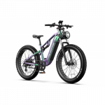 DUOTTS E26 elektrinis dviratis (26") 750W Bafang variklis 48V 20Ah