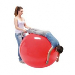 Fizinio krūvio kamuolys Physio Gymnic, 85 cm