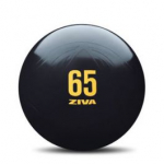 Gimnazija ZIVA ANTISPROGO CORE-FIT KAMUOLYS, 55 ir 65 cm