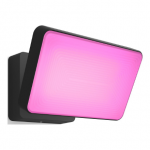 Philips Hue WCA Discover Outdoor Floodlight | 2000-6500 Hue White Colour Ambiance|8718696170533
