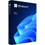 Software|MICROSOFT|Win Pro FPP 11 64-bit Eng Intl USB|Win Pro|Retail|HAV-00163|HAV-00163