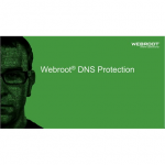 Webroot | DNS Protection with GSM Console | 2 year(s) | License quantity 1-9 user(s)|152300002A