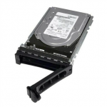 SERVER HDD 12TB 7.2K NLSAS/3.5'' 14GEN 161-BCJX DELL|161-BCJX