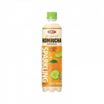Gazuotas gėrimas su mango ir laimu OKF Kombucha, 500 ml