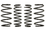 Žeminanti spyruoklė, Pro-Kit, 4vnt., pažeminimas priekis: 30mm, pažeminimas galas: 20-25mm,, Tinka: SEAT IBIZA III 1.4 TDI/1.8 T Cupra R/1.8 T FR/1.9 SDI/1.9 TDI/2.0 02.02-11.09