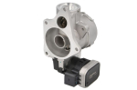 EGR vožtuvas BORG WARNER WA7256D