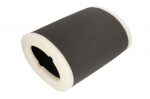 Oro filtras HIFLO HFA2908